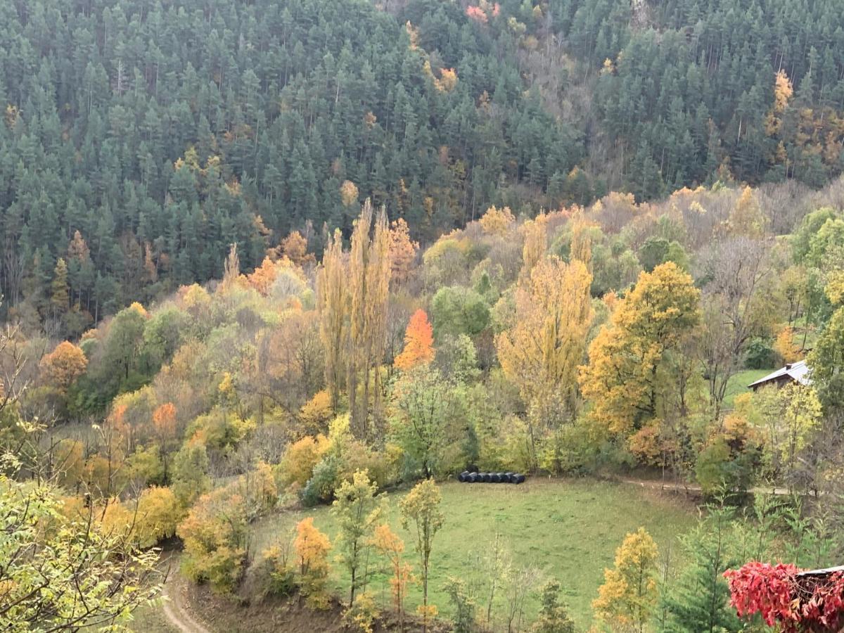 Casa Rural Pirineu Nevà Esterno foto